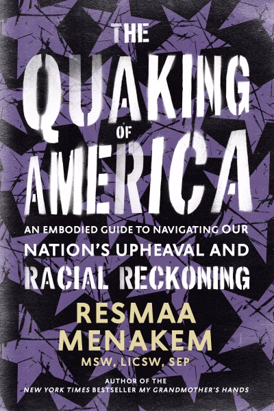 Book cover for 