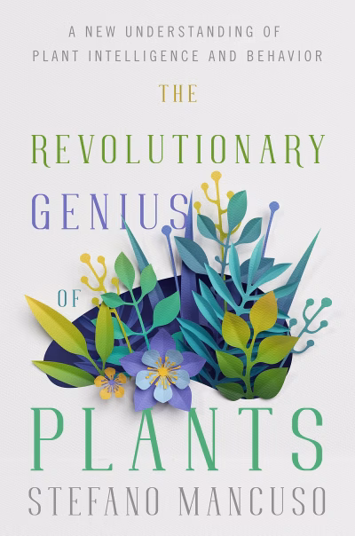 Book cover for 