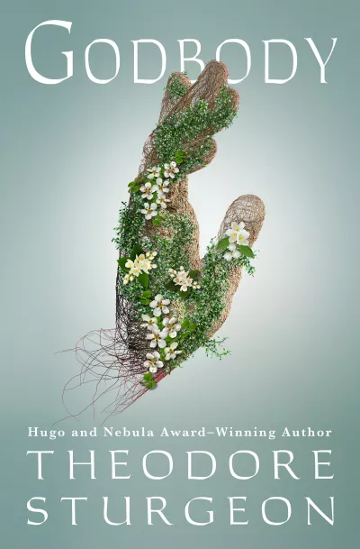 Book cover for