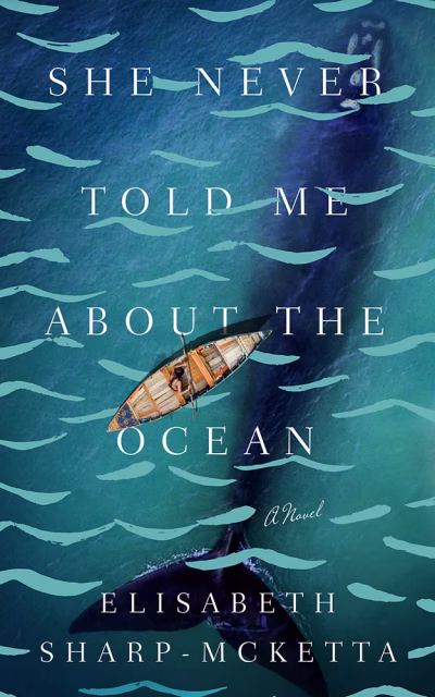 Book cover for 