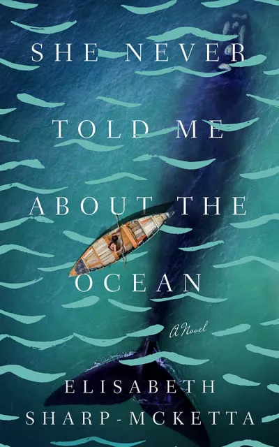 Book cover for