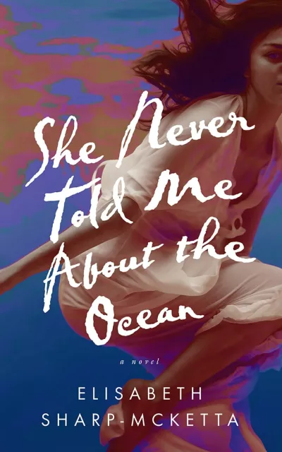 Book cover for