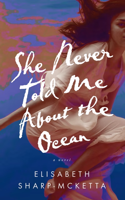 Book cover for 