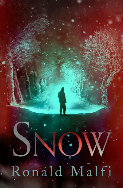 Book cover for 