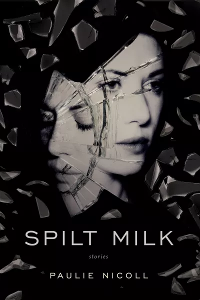 Book cover for 