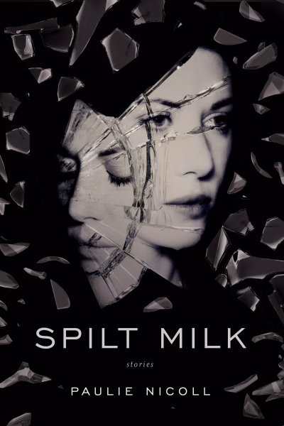 Book cover for 