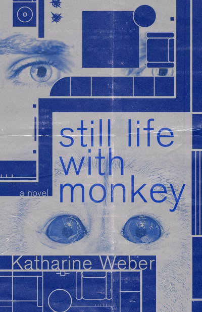 Book cover for 