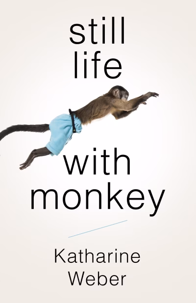 Book cover for 