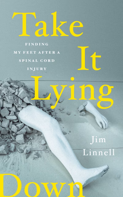 Book cover for 