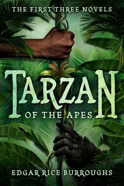 Book cover for 
