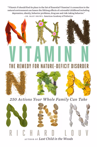 Book cover for 