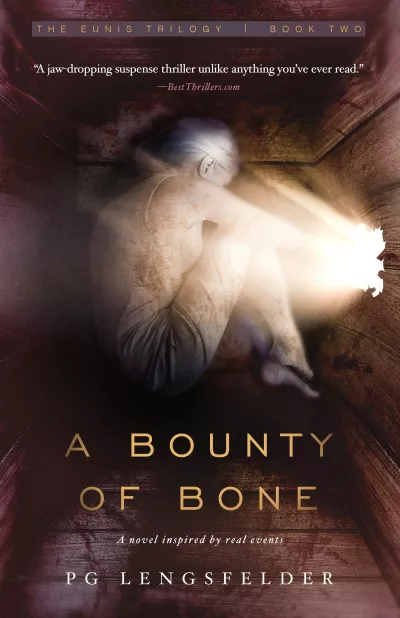 Book cover for 
