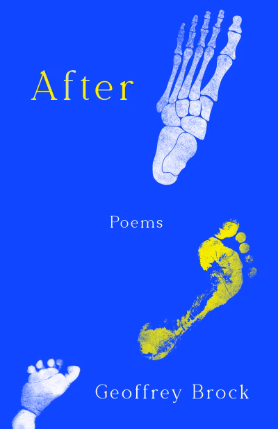 Book cover for 