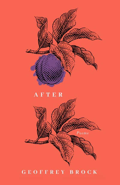 Book cover for 