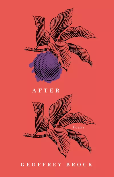 Book cover for 