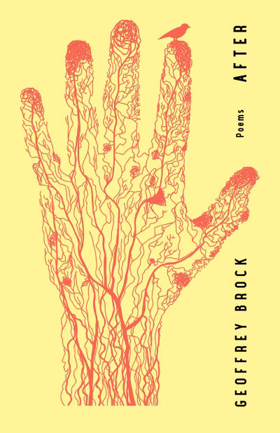 Book cover for 