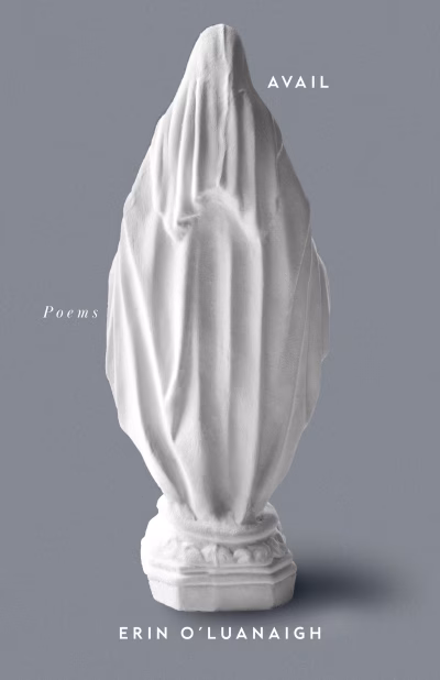 Book cover for 