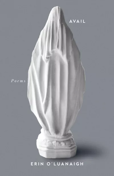Book cover for 