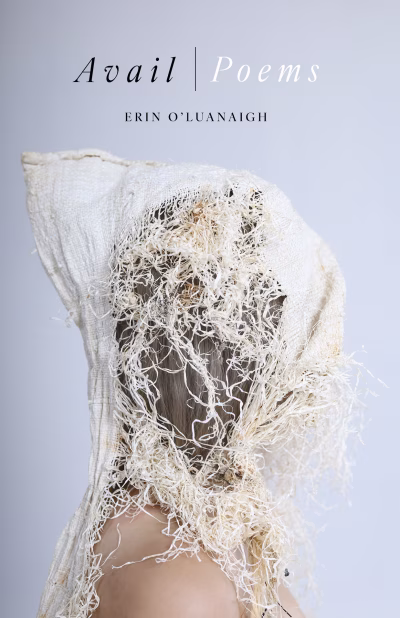 Book cover for 