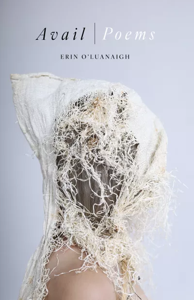 Book cover for 