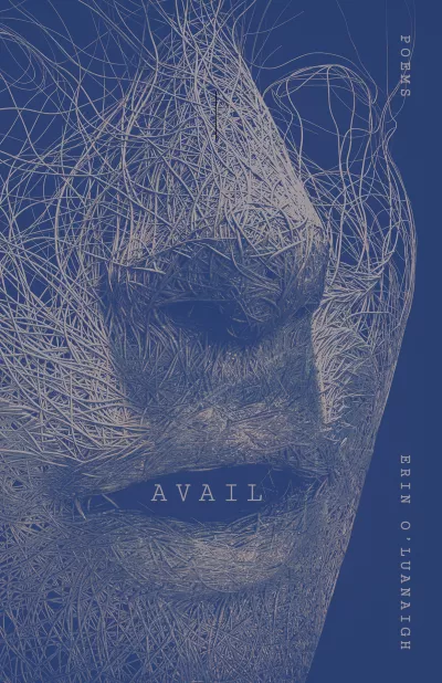 Book cover for 