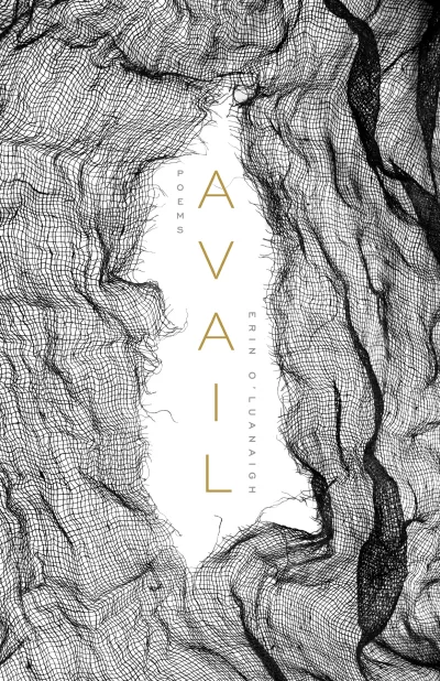 Book cover for 