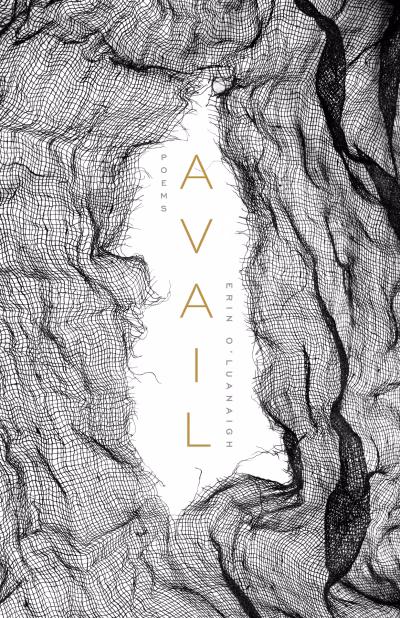 Book cover for 