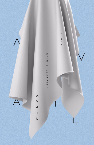 Book cover for 
