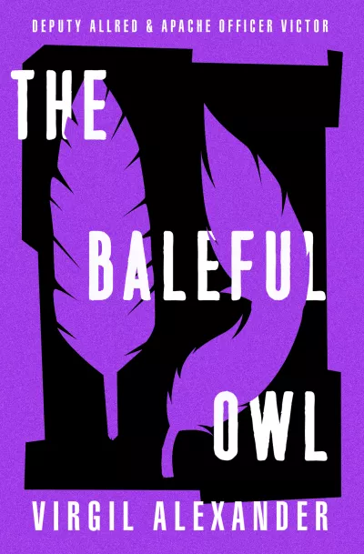 Book cover for 
