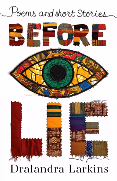 Book cover for 
