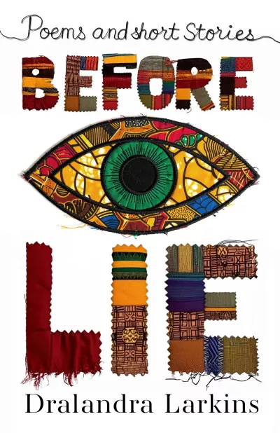 Book cover for 