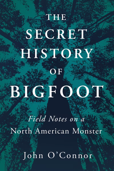 Book cover for 