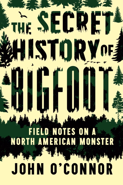 Book cover for 