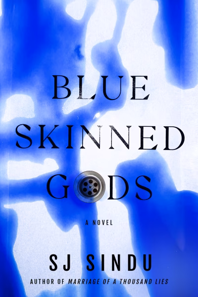 Book cover for 