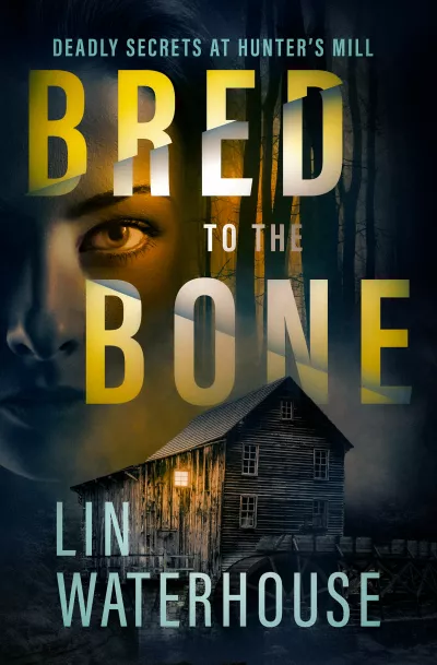 Book cover for 