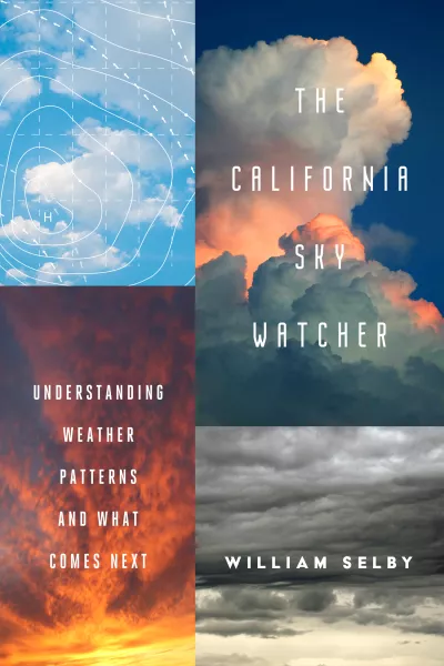 Book cover for 