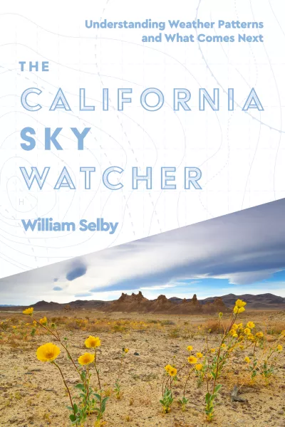 Book cover for 
