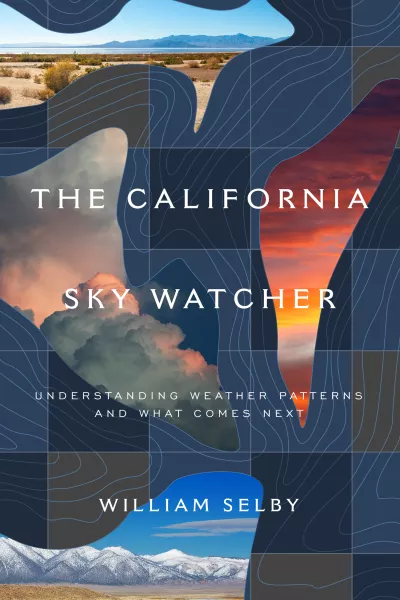 Book cover for 