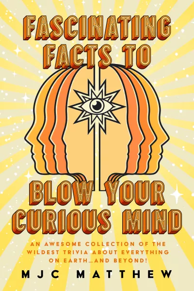 Book cover for 