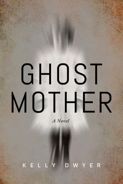 Book cover for 