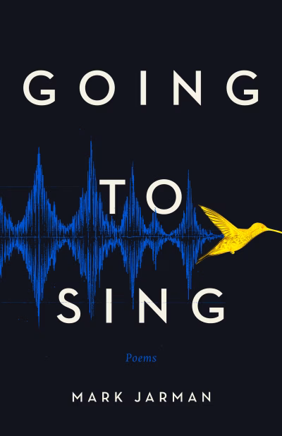 Book cover for 