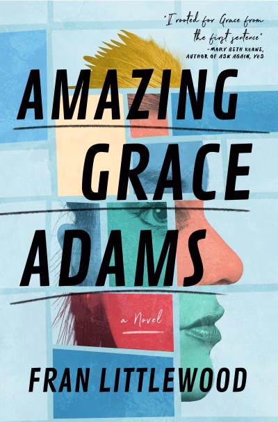 Book cover for 