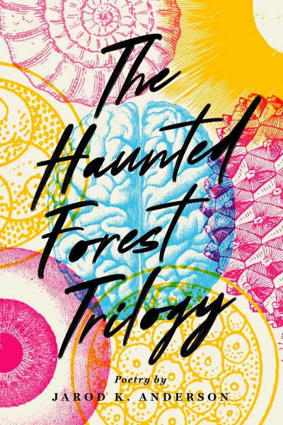 Book cover for 