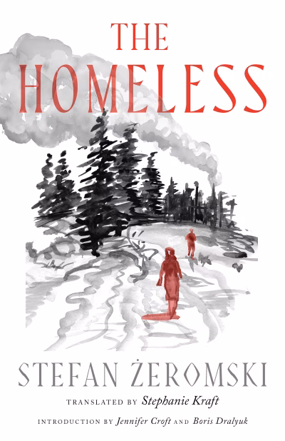 Book cover for 