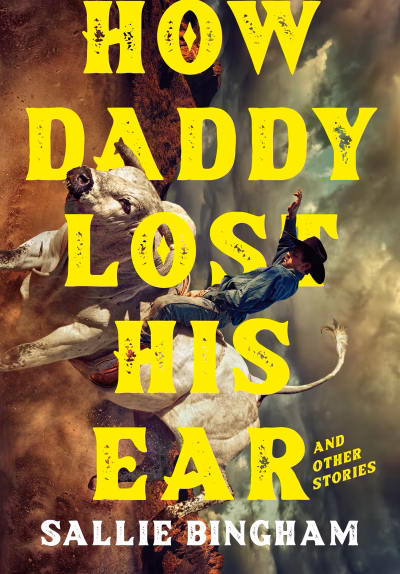 Book cover for 