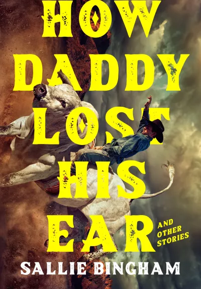 Book cover for 