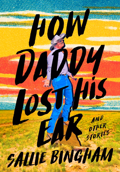 Book cover for 
