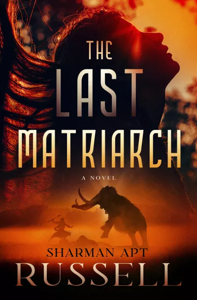 Book cover for 