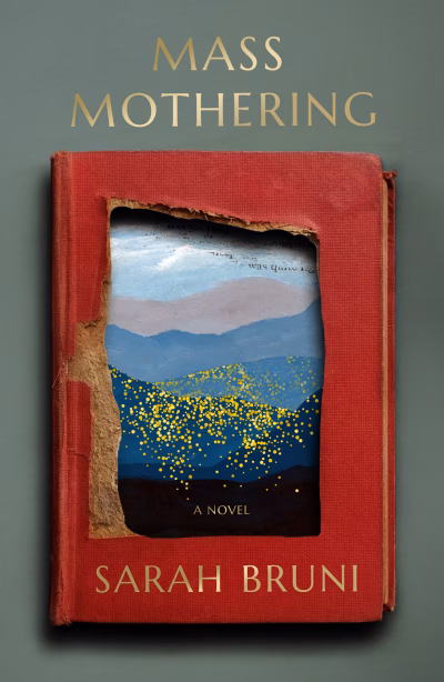 Book cover for 