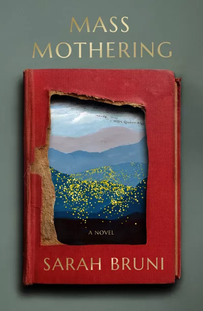 Book cover for 